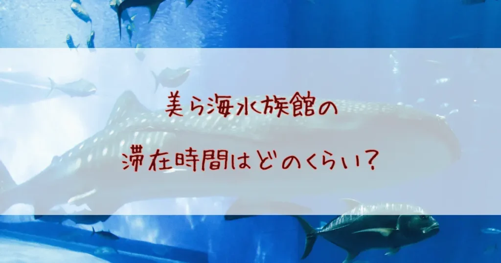 美ら海水族館の滞在時間の目安はどのくらい？子連れ向けモデルコースも詳しく紹介