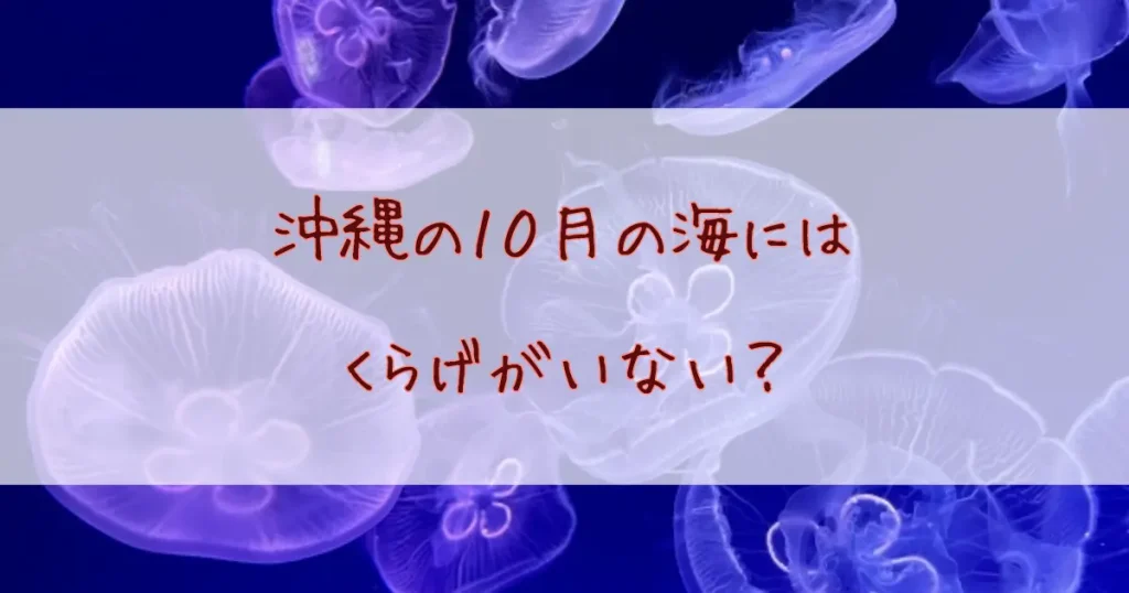 沖縄の10月の海にはクラゲがいない？安心して楽しむための完全ガイド