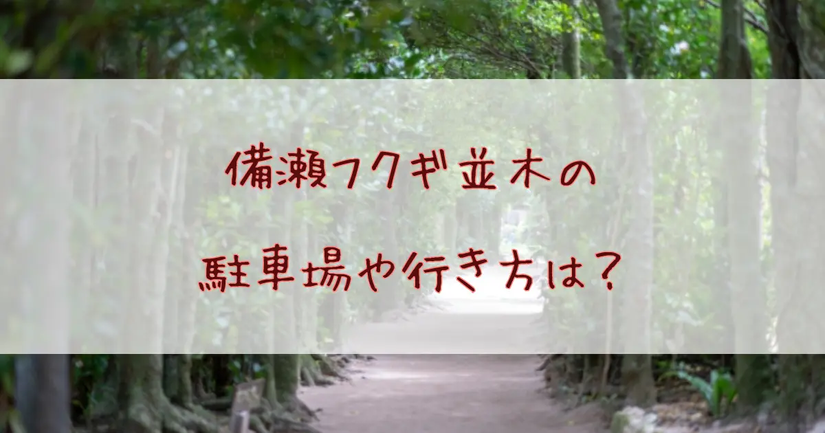 備瀬フクギ並木の駐車場や行き方は？美ら海水族館から徒歩でも行ける？