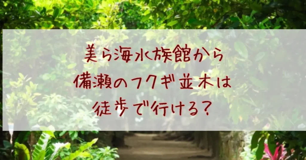 美ら海水族館から備瀬のフクギ並木は徒歩で行ける？無料駐車場はある？