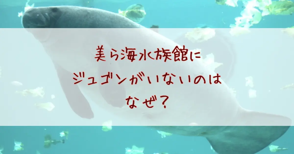 美ら海水族館にジュゴンがいないのはなぜ？代わりに会えるマナティの名前や魅力を紹介！