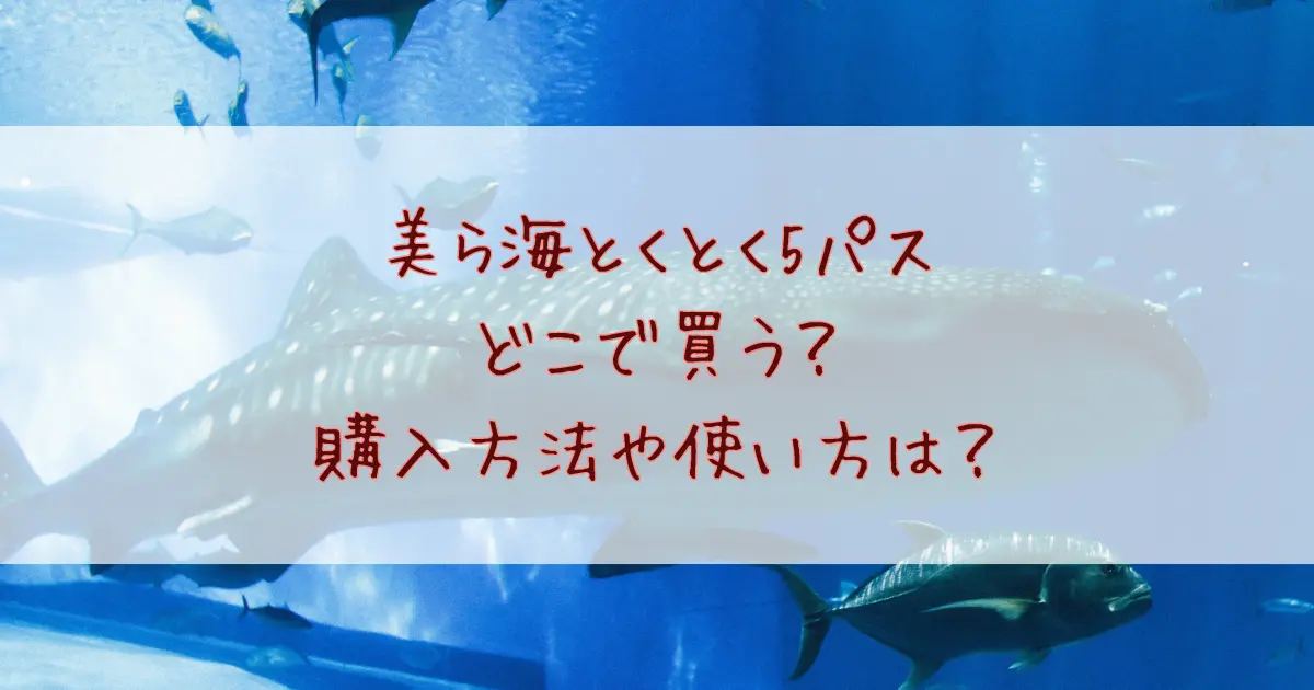 美ら海とくとく5パスはどこで買う？ファミリーマートなどコンビニでの購入方法や使い方まで徹底解説！