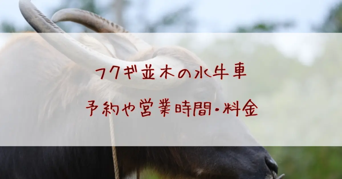 備瀬フクギ並木で水牛車に乗るなら要チェック！予約や営業時間・料金など徹底解説