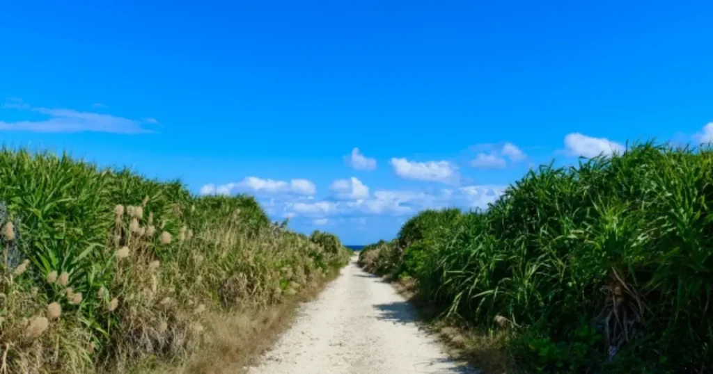 久高島