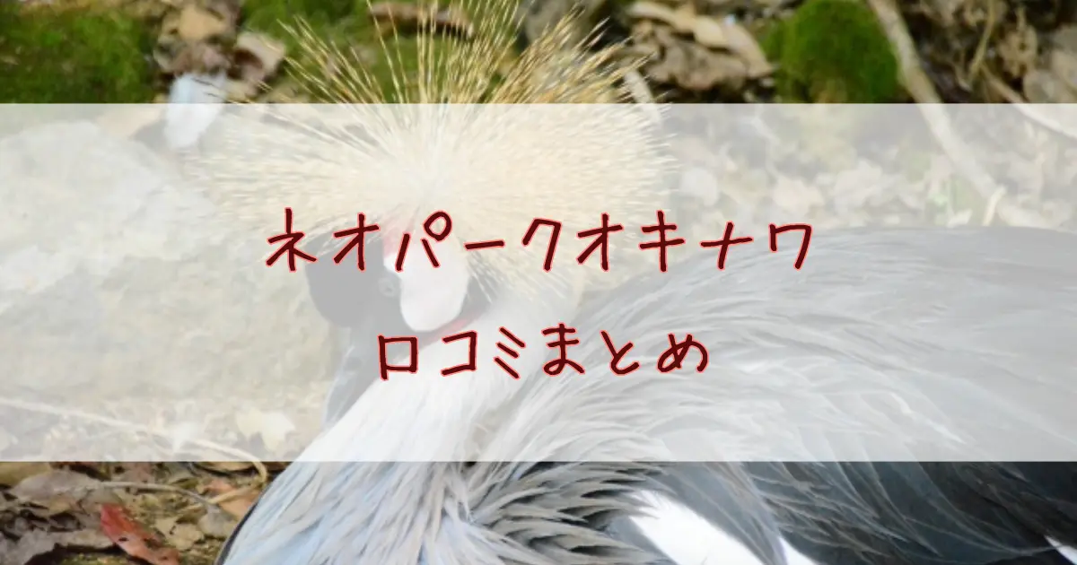 ネオパークオキナワの口コミは？所要時間や割引クーポン情報まで詳しく解説