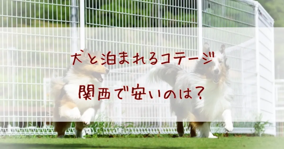犬と泊まれるコテージ関西で安いのは？コスパ重視の穴場を厳選！