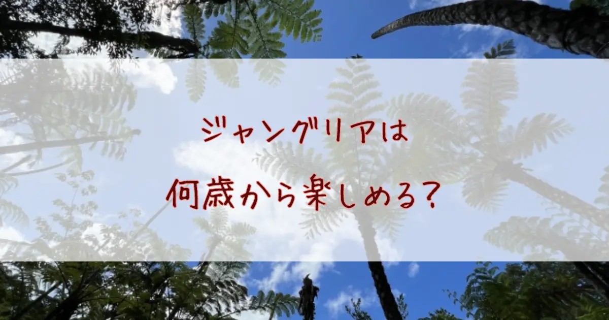 ジャングリアは何歳から楽しめる？年齢確認はされる？されない？