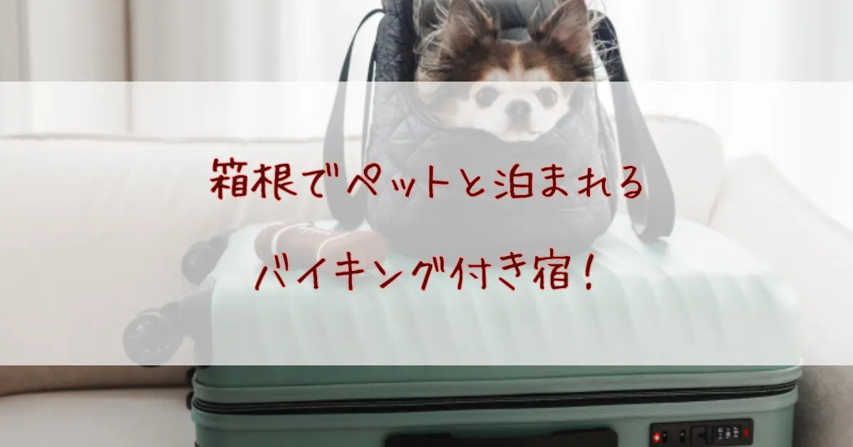 箱根でペットと泊まれる宿でバイキング付き5選！温泉と絶品料理を楽しめる人気宿まとめ